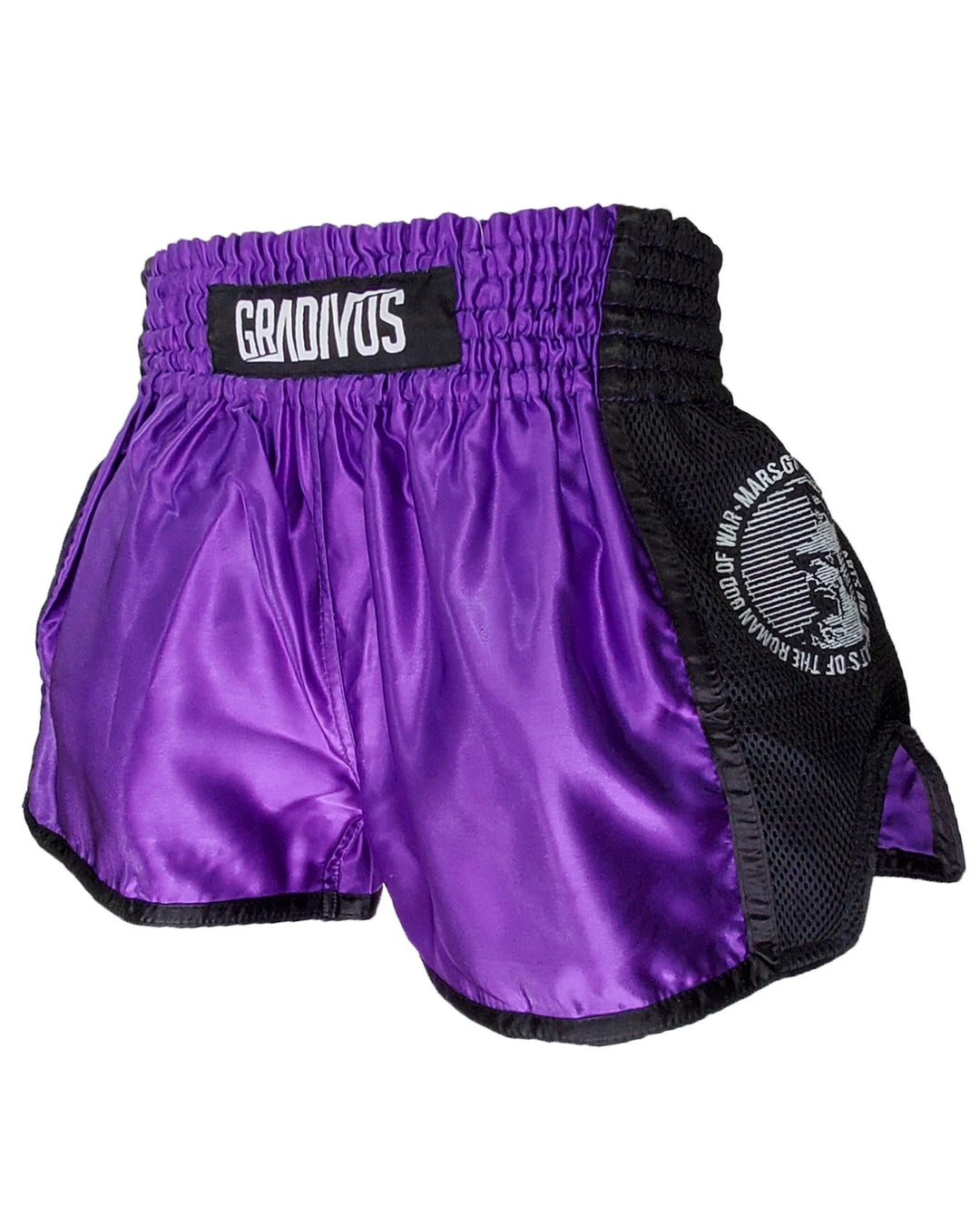 Shorts Ring Fighter