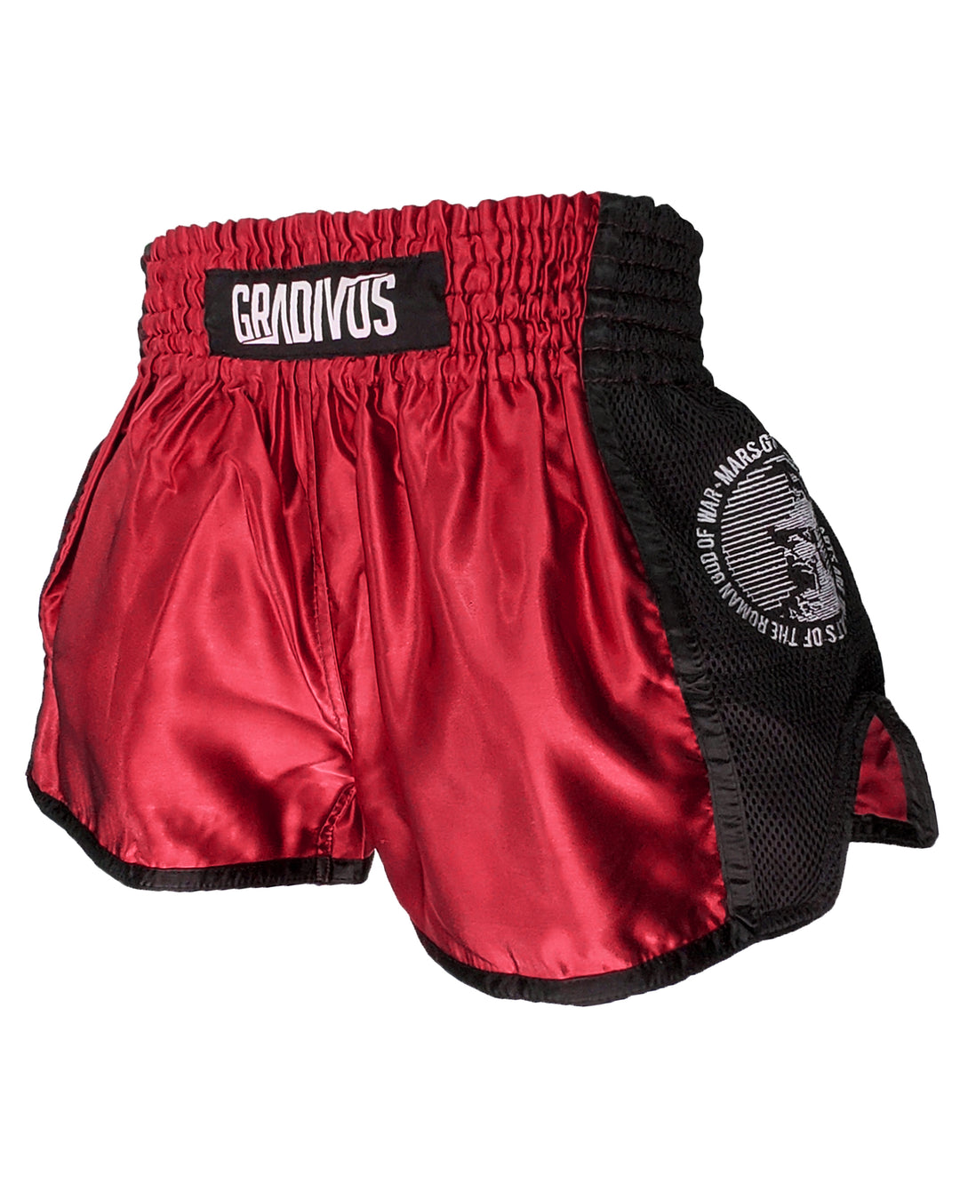 Shorts Ring Fighter