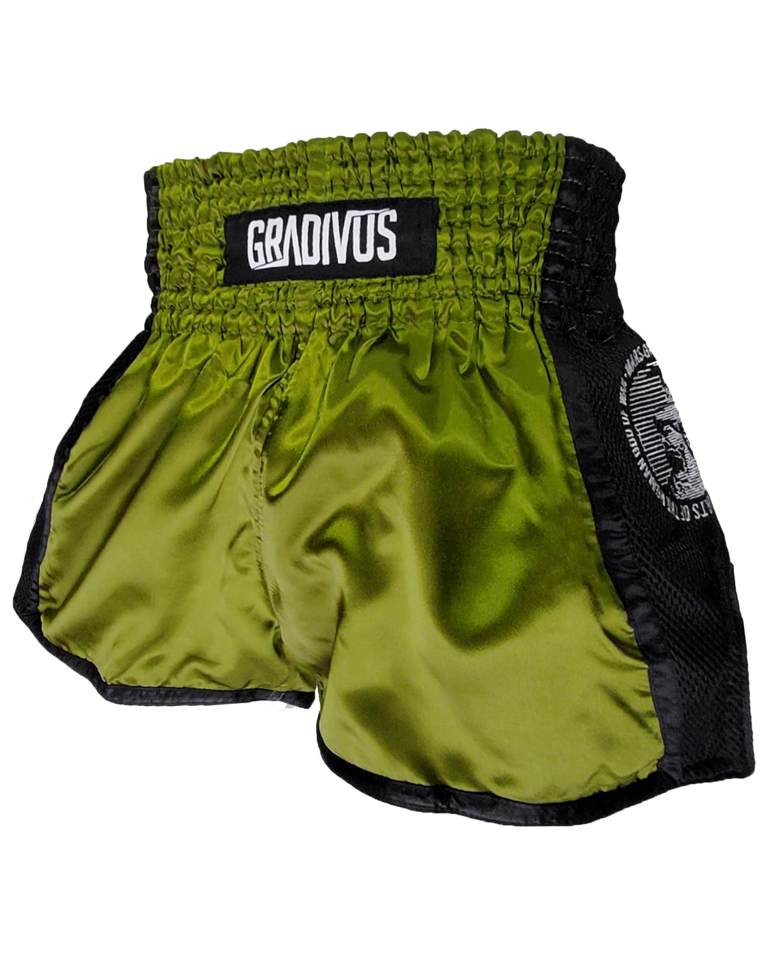 Shorts Ring Fighter