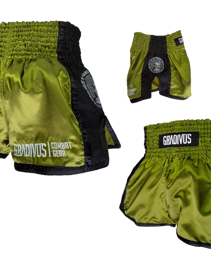Shorts Ring Fighter