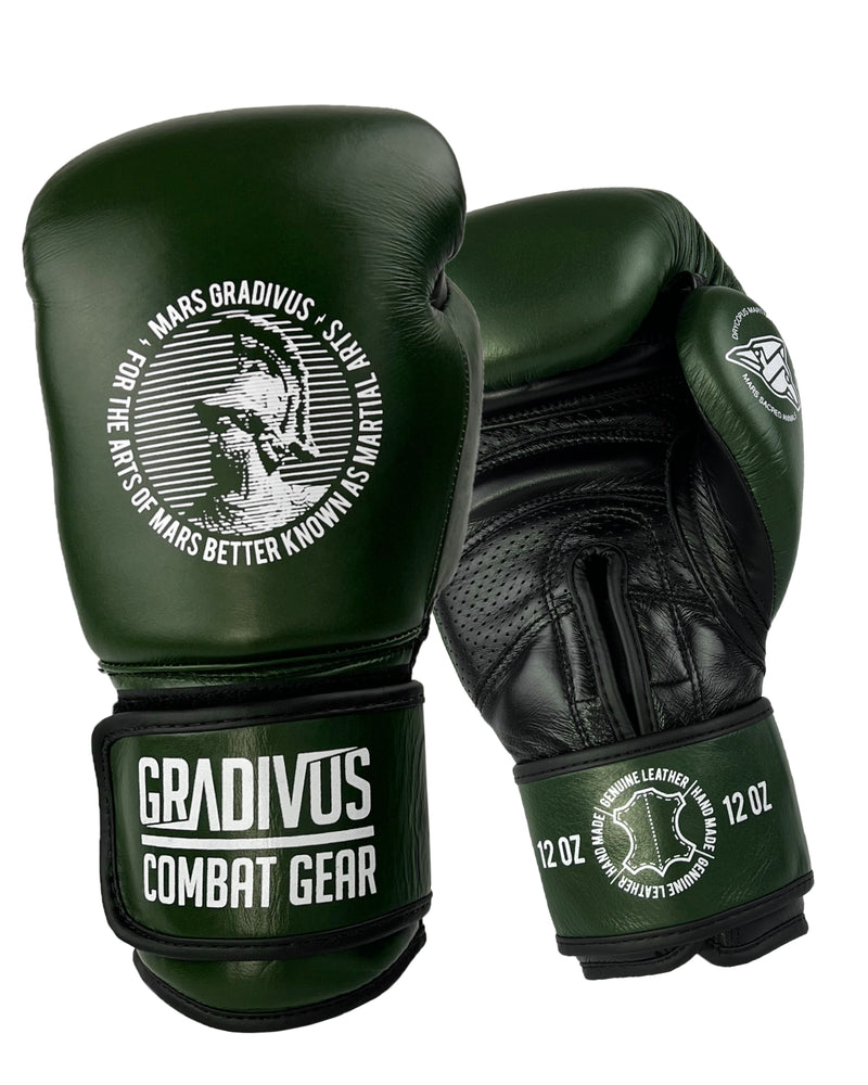 guantes boxeo sparpro cuero autentico vaca box boxing kickboxing muay thai sambo mma ufc bellator glory artes marciales mars gradivus hecho a mano importado subete al ring entrenar hace bien salud y deporte deporte combate full contact sparring verde