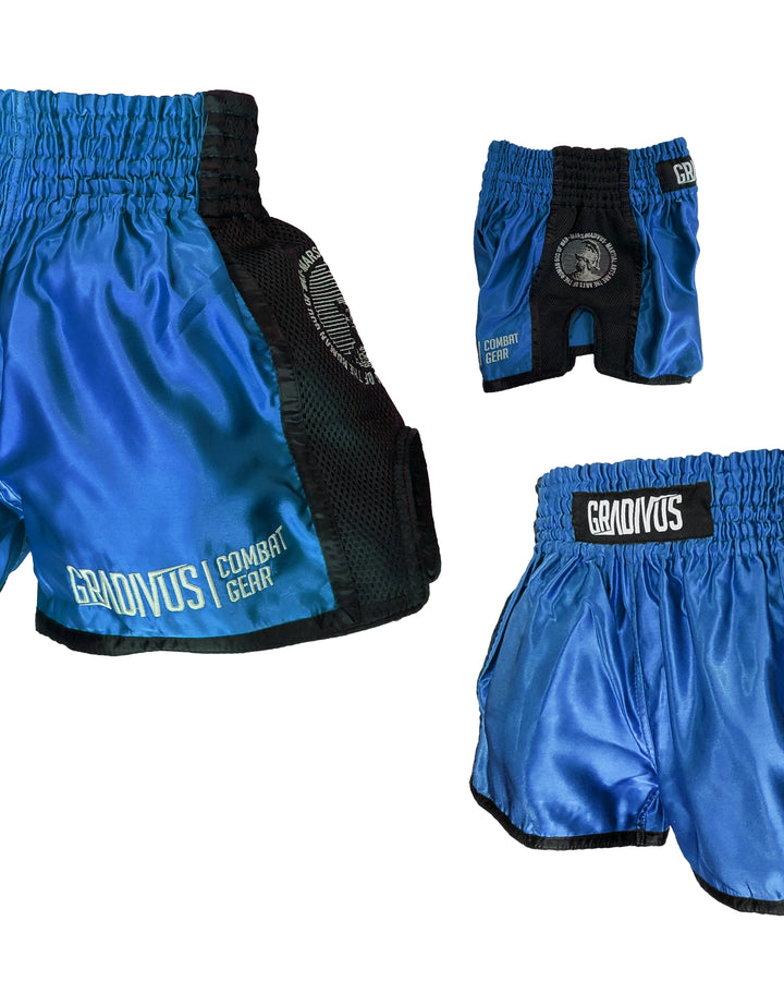 Shorts Ring Fighter