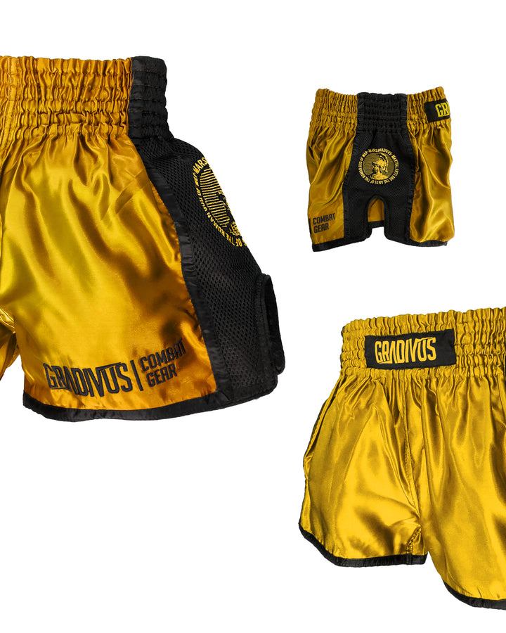 Shorts Ring Fighter