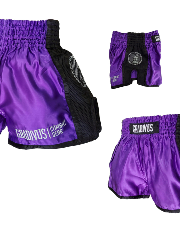 Shorts Ring Fighter