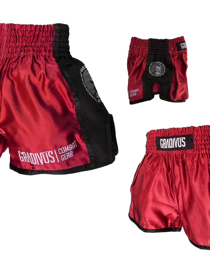 Shorts Ring Fighter