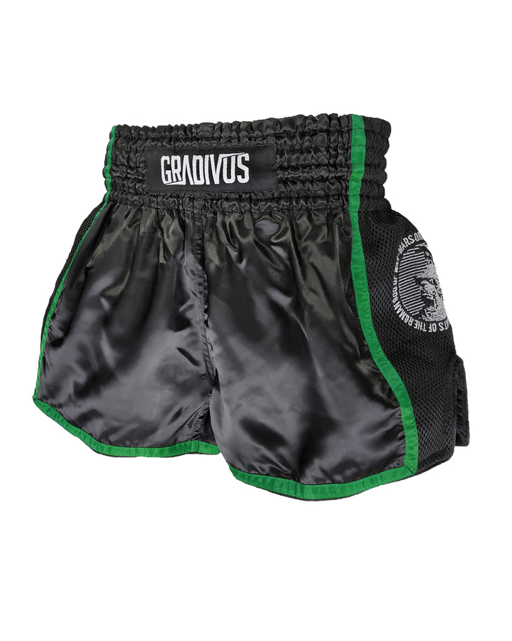shorts-kickboxing-k1-verde-1