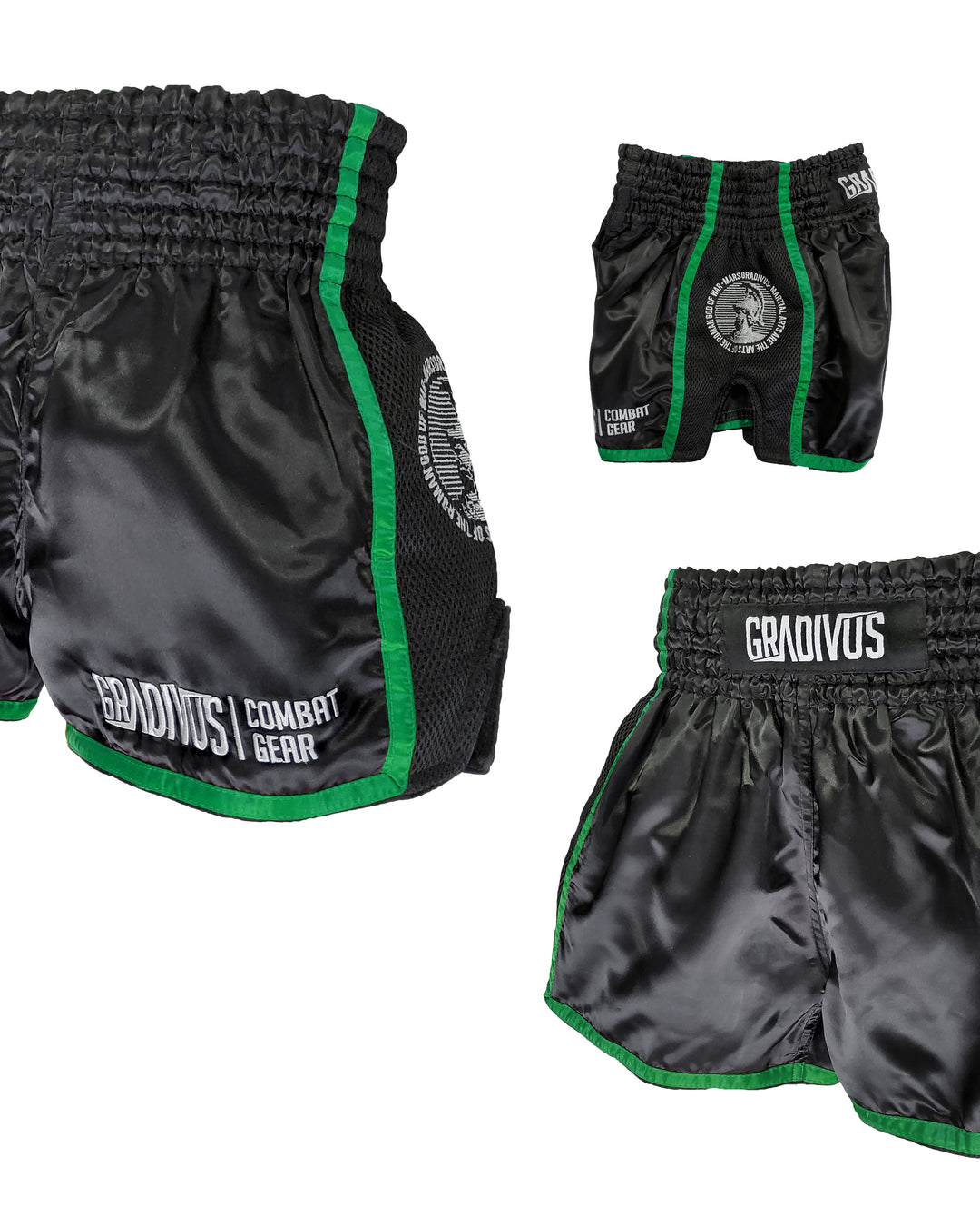 Shorts Ring Fighter