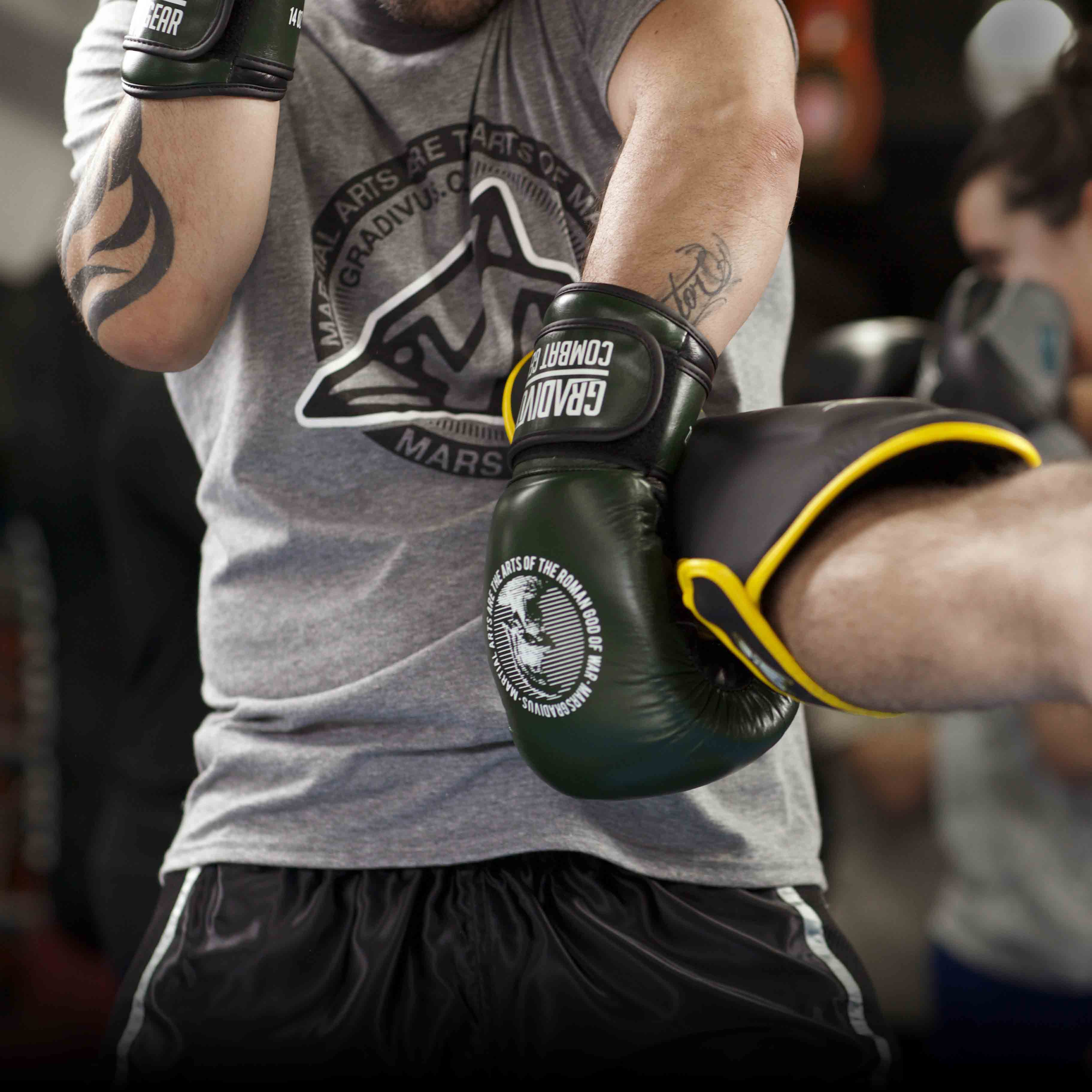 VESTIMENTA GRADIVUS – GRADIVUS Combat Gear