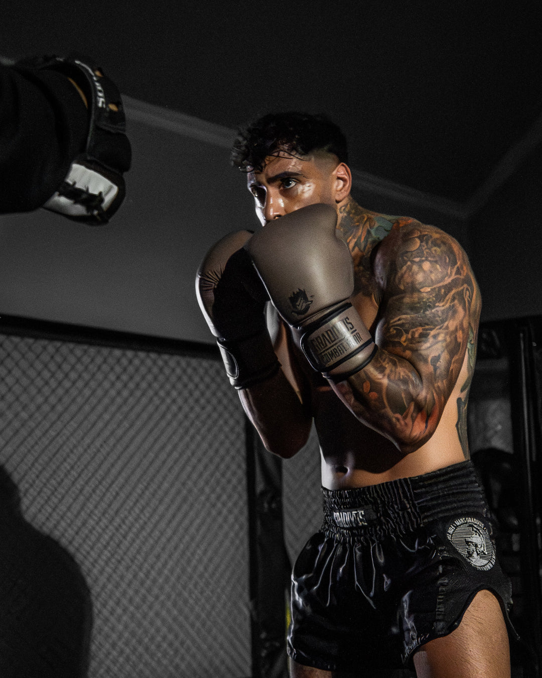 Guantes Box SparPro ROMA