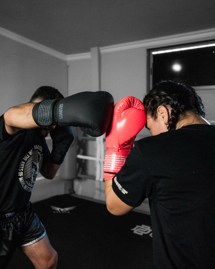 Box SparPro Romano (Nuevo)