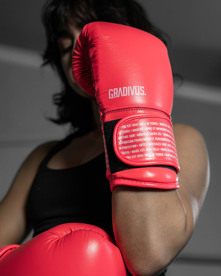 Guantes Box SparPro Romano