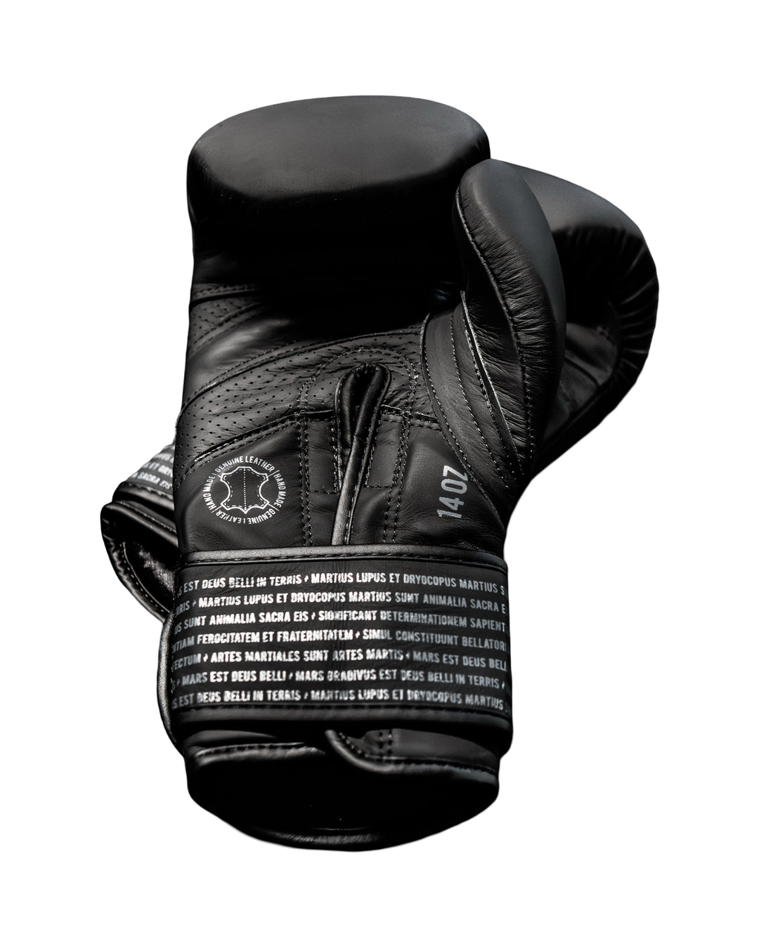 Box SparPro Romano (Nuevo)