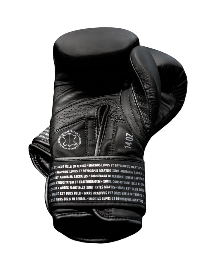 Box SparPro Romano (Nuevo)