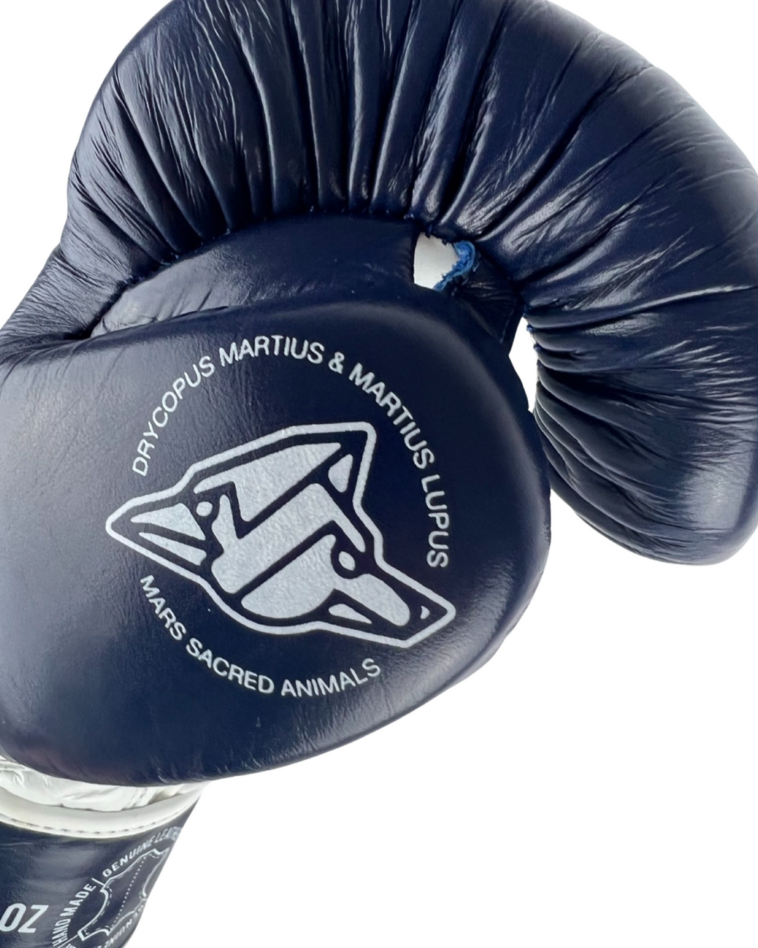 Guantes Box SparPro