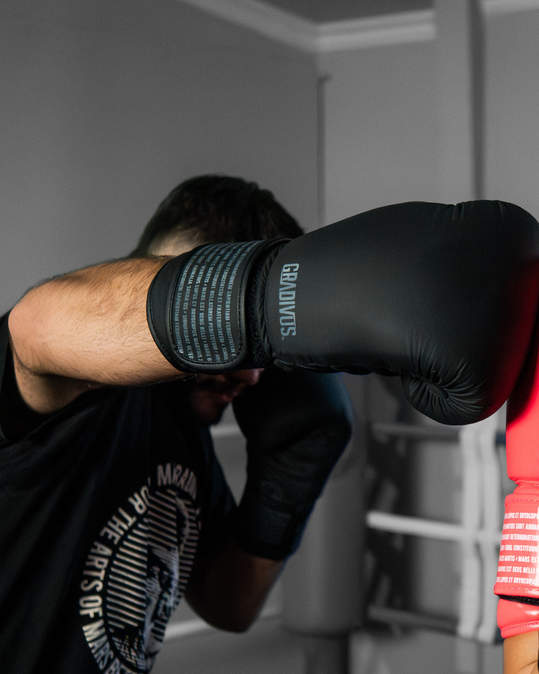 Guantes Box SparPro Romano