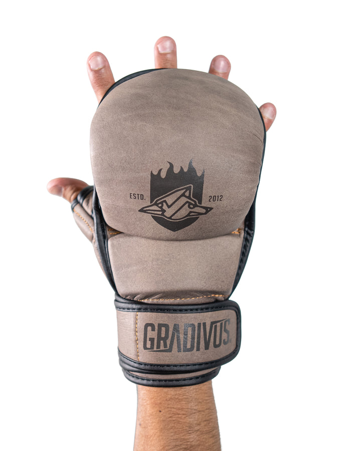Guantes MMA SparPro Roma