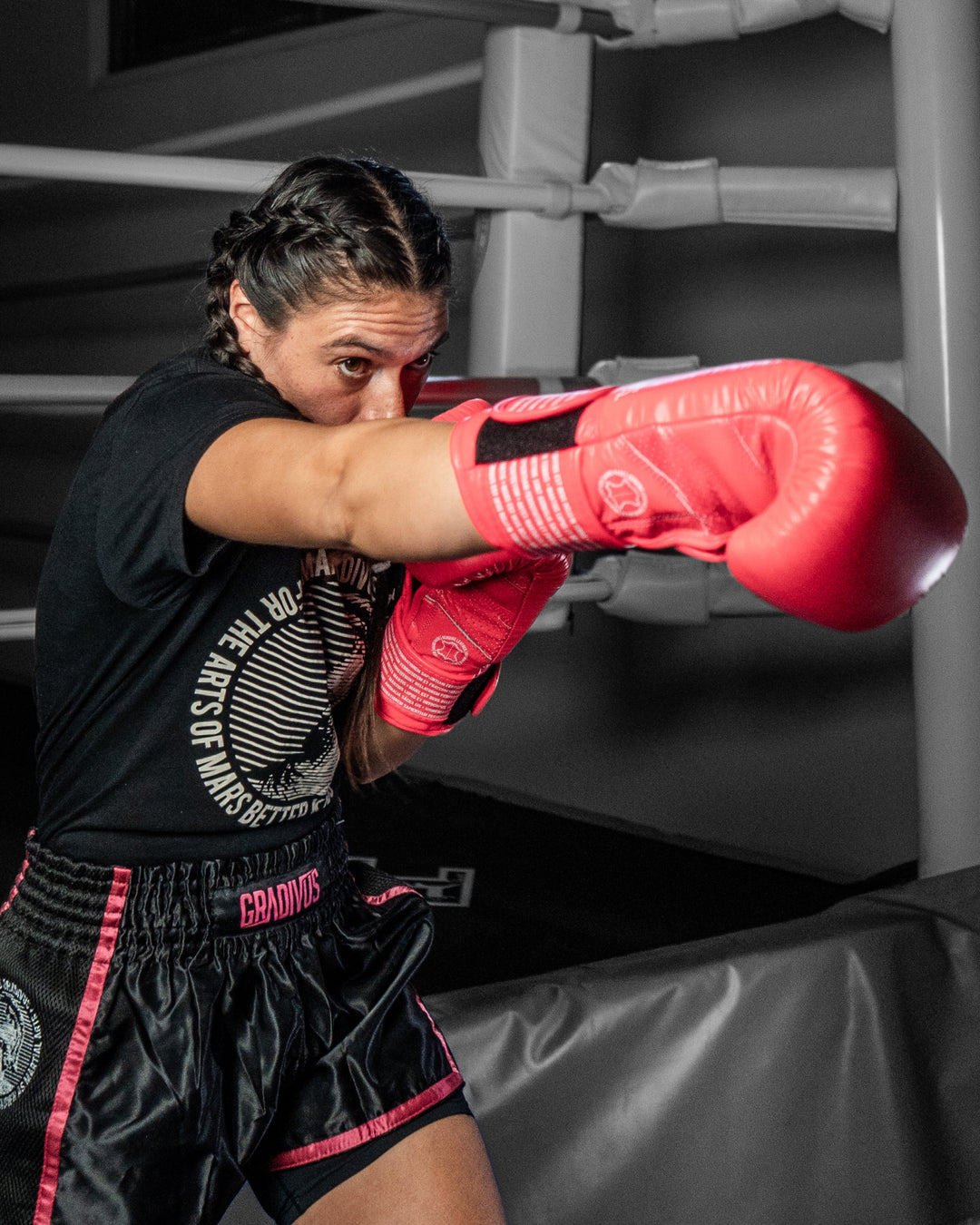 Box SparPro Romano (Nuevo)