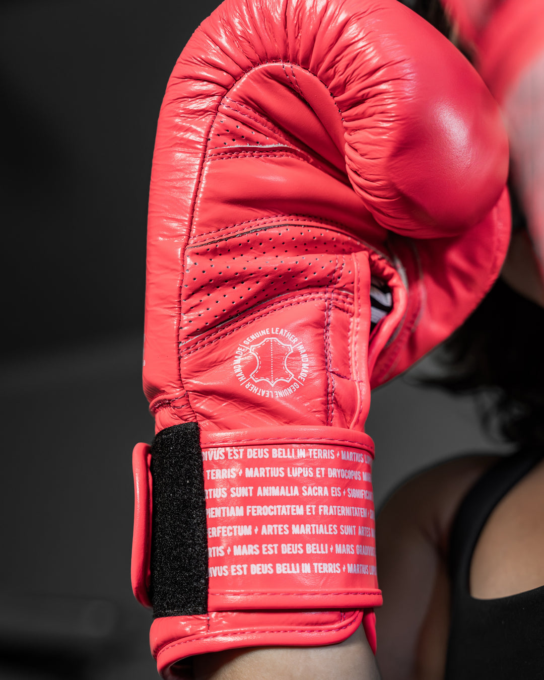 Guantes Box SparPro Romano