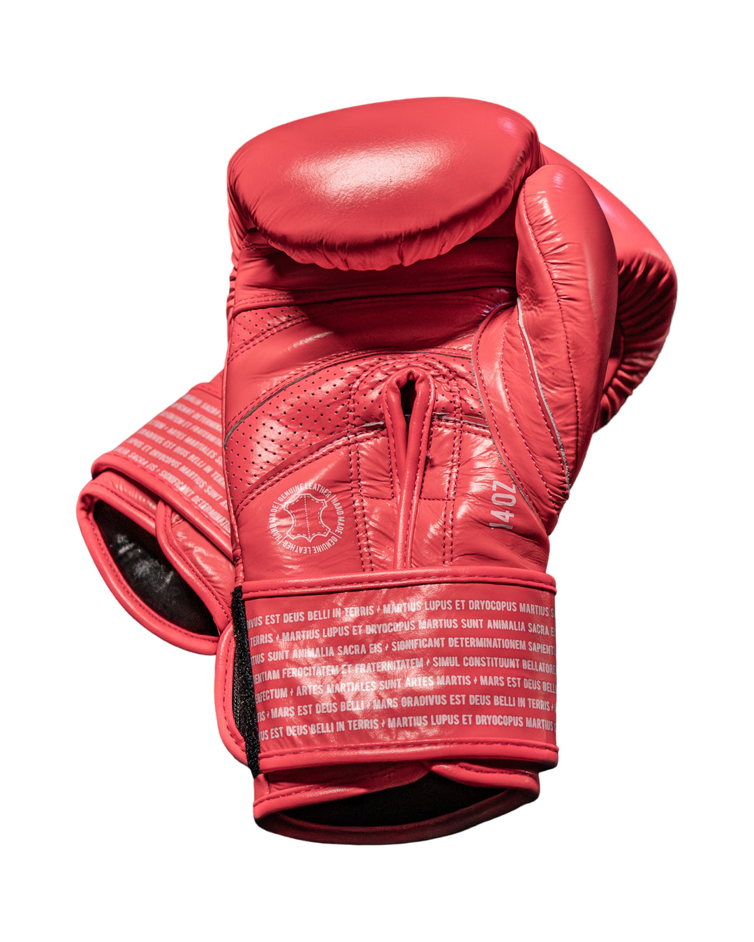 Box SparPro Romano (Nuevo)