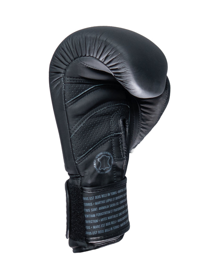 Guantes Box SparPro Romano