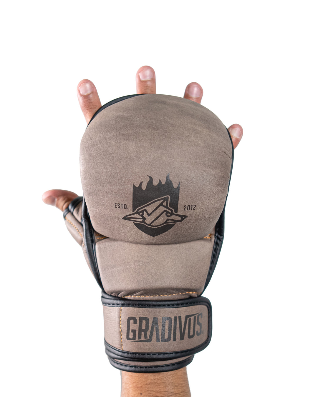 Guantes MMA SparPro ROMA