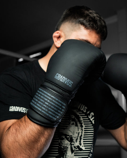 GRADIVUS Combat Gear - Equipamiento para Artes Marciales y Combate
