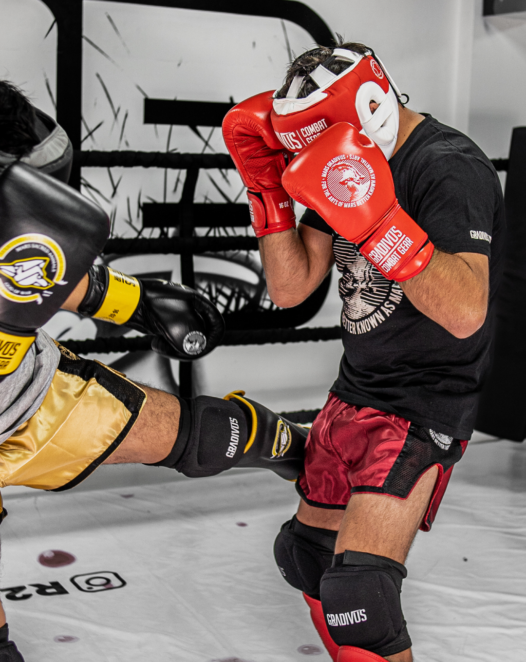 guantes boxeo sparpro cuero autentico vaca box boxing kickboxing muay thai sambo mma ufc bellator glory artes marciales mars gradivus hecho a mano importado subete al ring entrenar hace bien salud y deporte deporte combate full contact sparring rojo