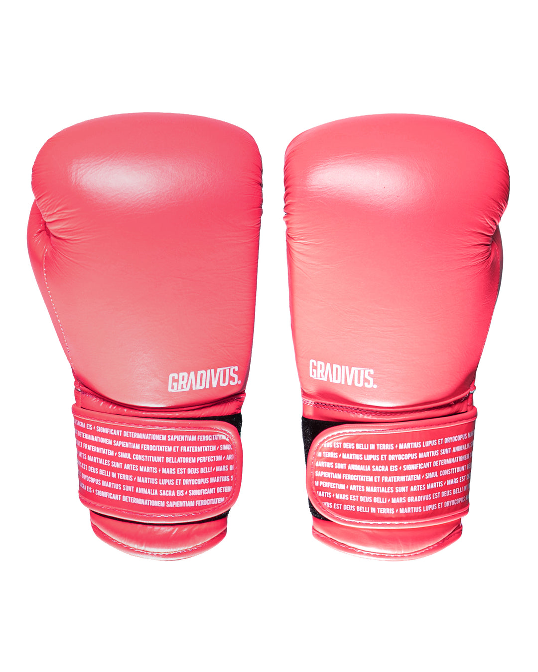 Guantes Box SparPro Romano