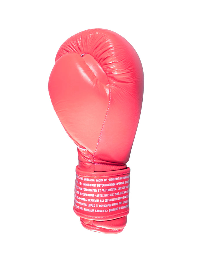Guantes Box SparPro Romano