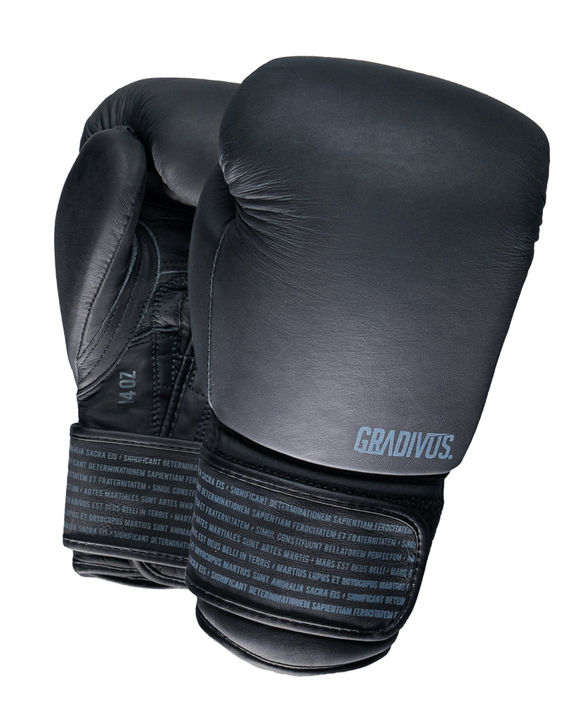 Guantes Box SparPro Romano