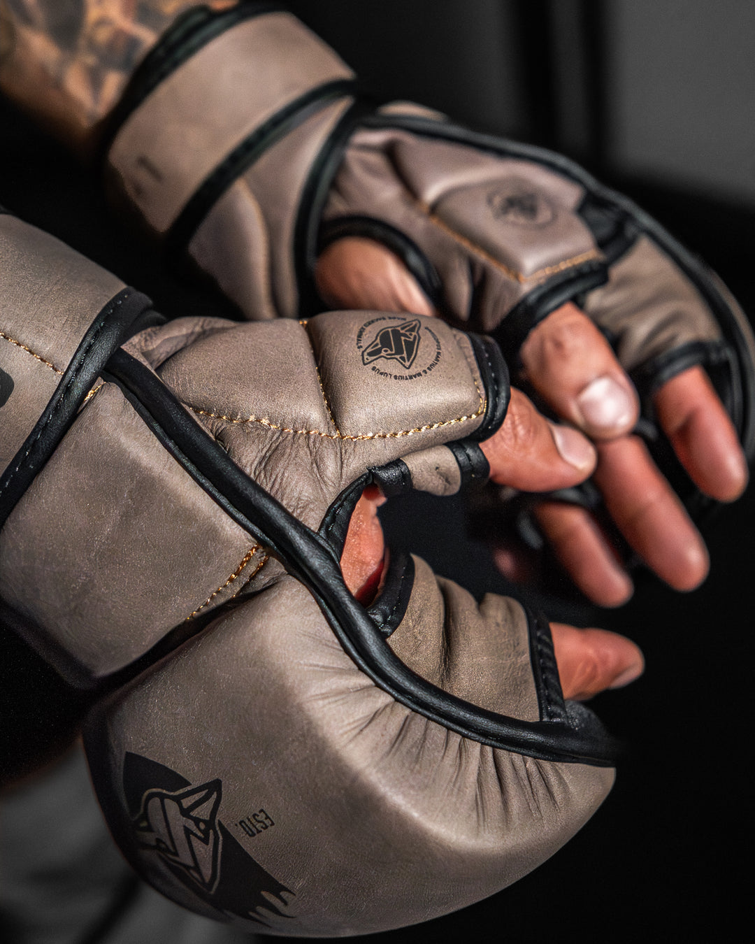 Guantes MMA SparPro Roma