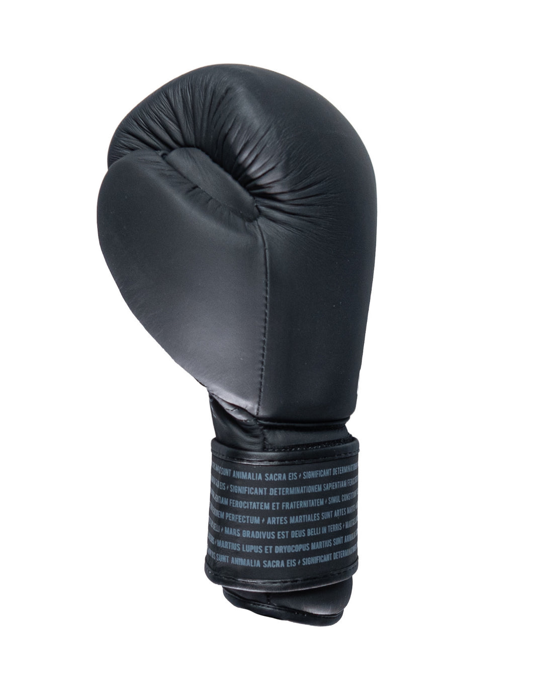 Guantes Box SparPro Romano