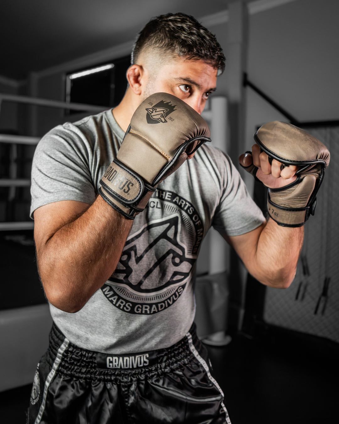 Guantes MMA Híbridos SparPro (Nuevo)