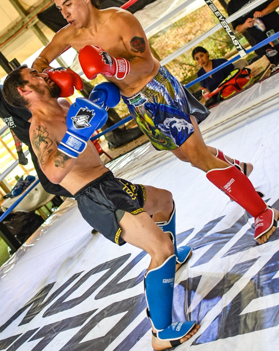 canilleras kick pro std mars gradivus kickboxing muay thai k1 sambo mma ufc bellator gimnasio academia artes de marte emblema animales sagrados azul rojo guantes de boxeo cuero