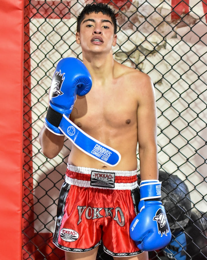 guantes de boxeo box boxing cuero autentico hecho a mano importado kickboxing muay thai k1 sambo mma ufc bellator mars gradivus combat gear deporte full contact contacto iska azul