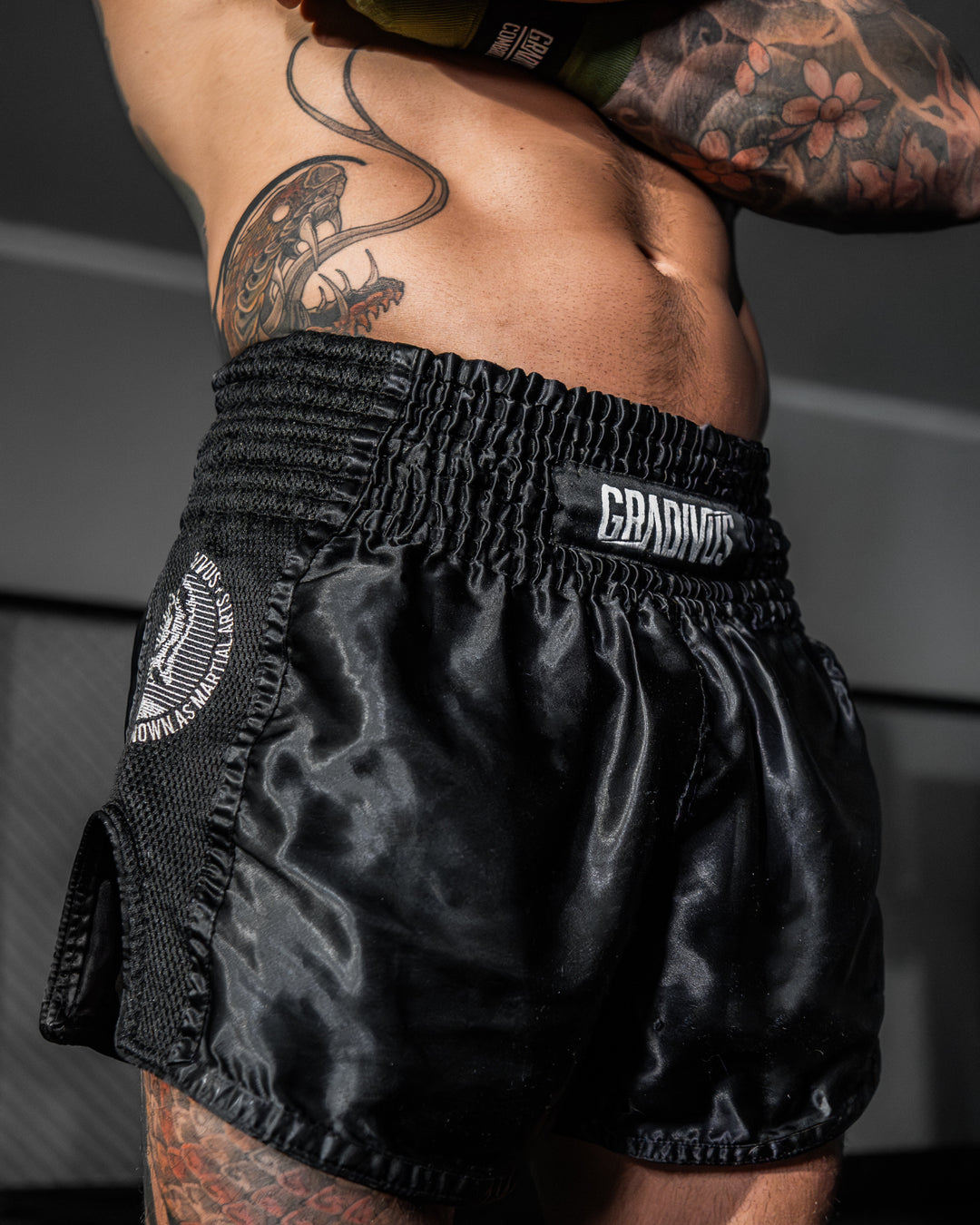Shorts Ring Fighter