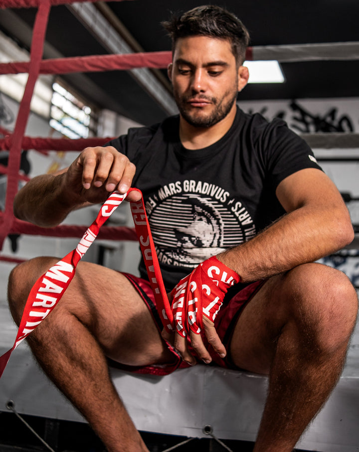 PREVENTA Vendas Mars 2026