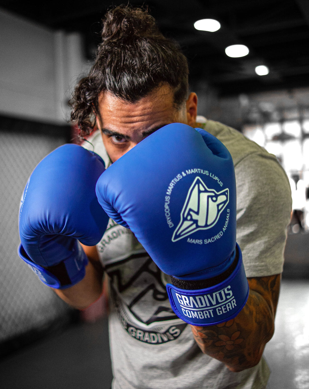 Guantes de boxeo classic clasico boxing box kickboxing muay thai k1 sambo mma ufc bellator artes marciales mars gradivus subete al ring jaula deporte salud entrenamiento pelea combate full contact azul blanco
