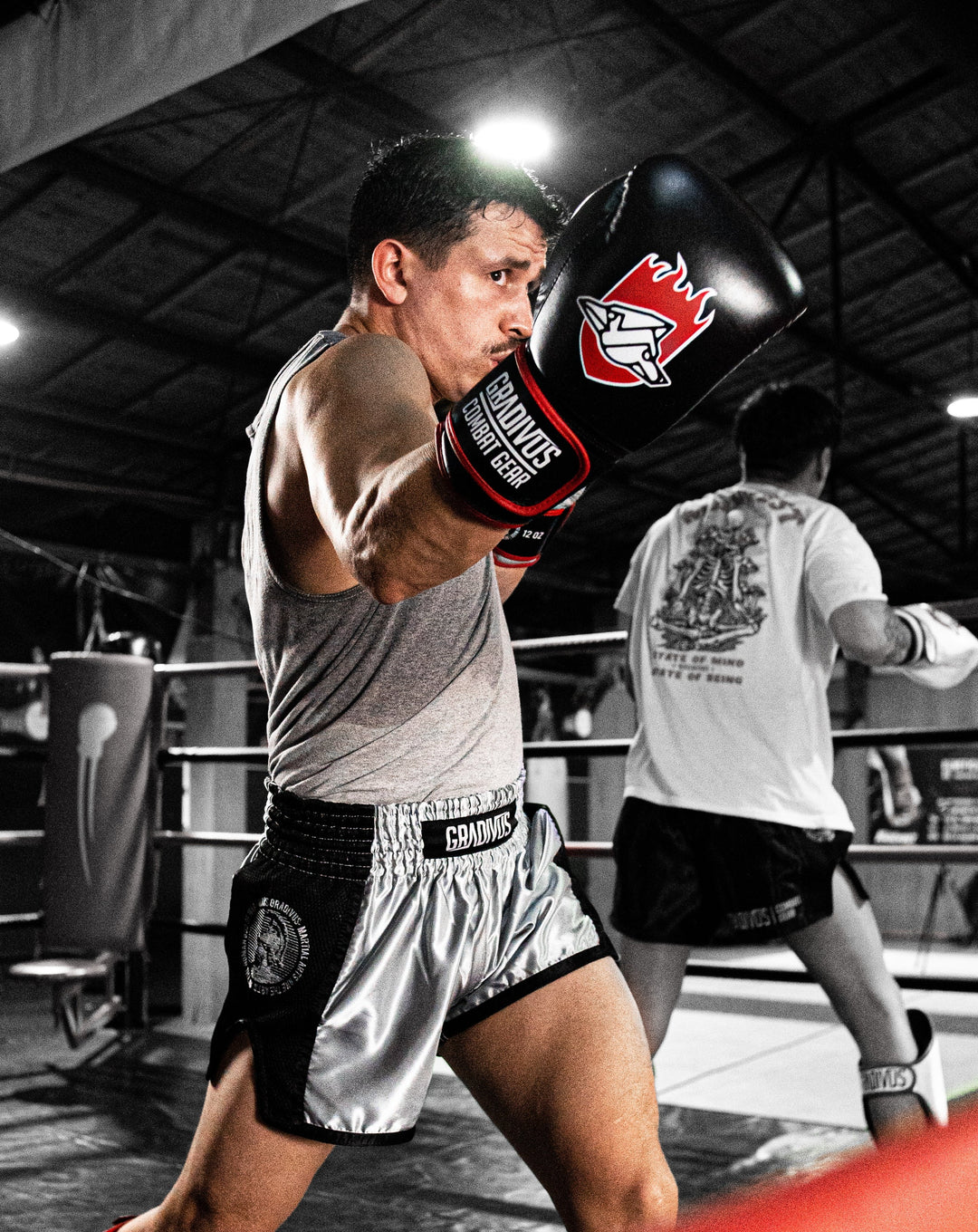 PREVENTA Box Pro Standard 2026