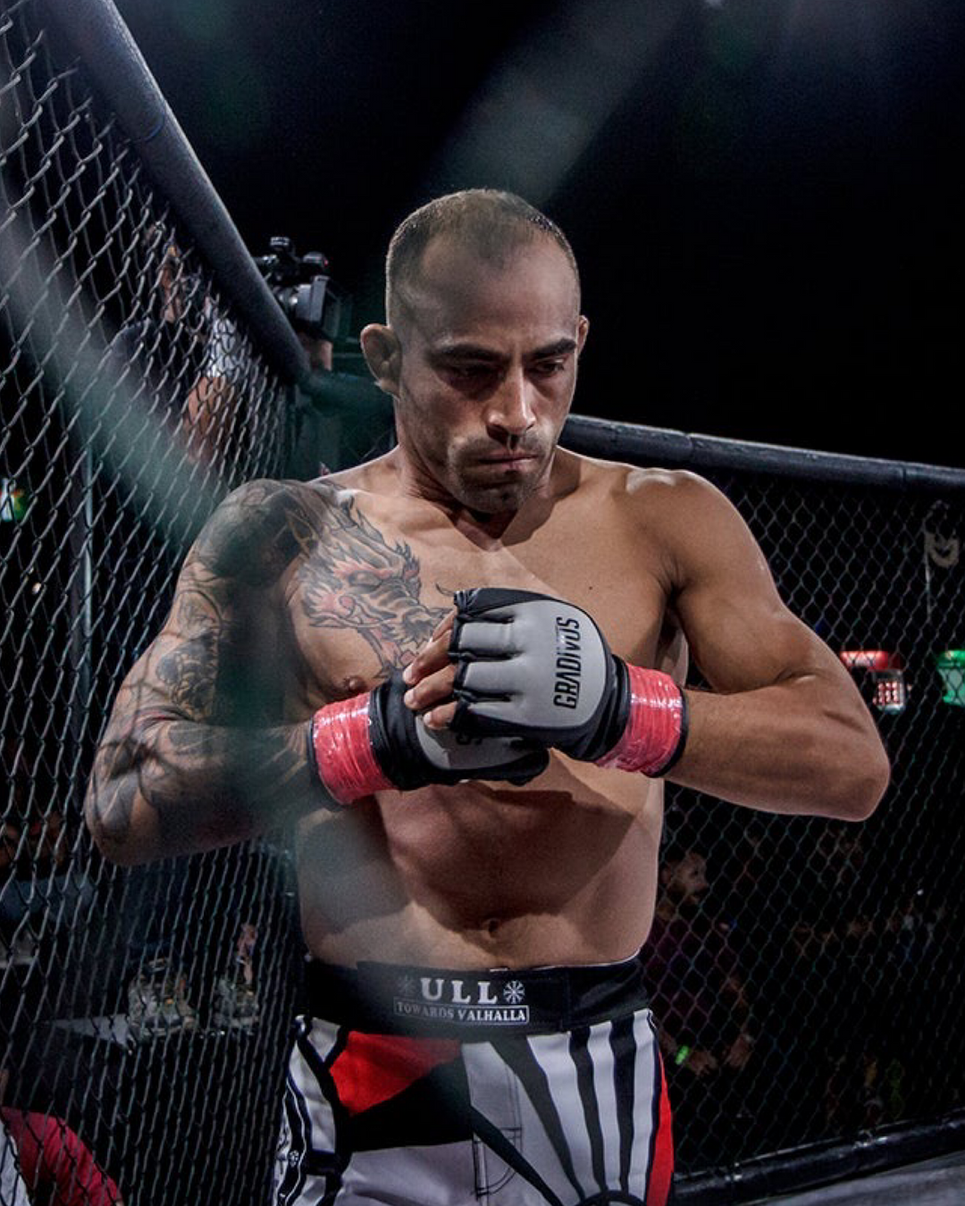 Guantes MMA All Combat