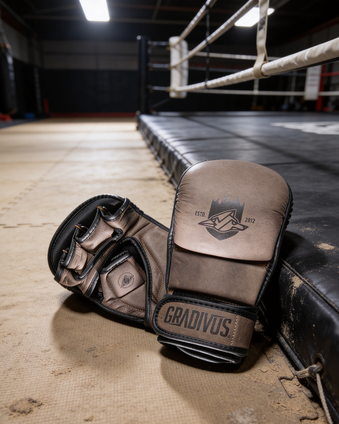 Guantes MMA SparPro ROMA