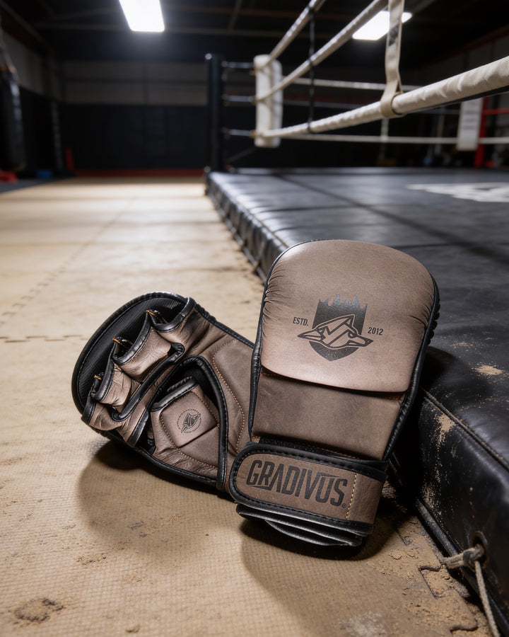 Guantes MMA SparPro ROMA
