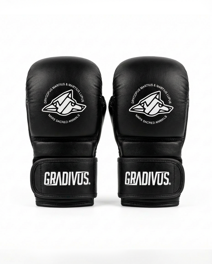 Guantes MMA Híbrido Classic (Nuevo)