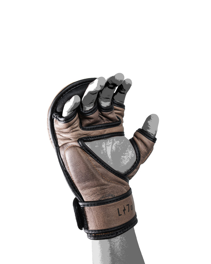 Guantes MMA SparPro ROMA