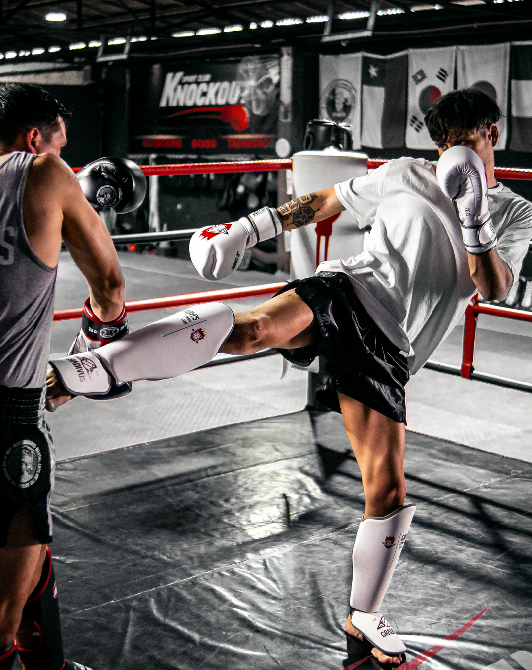 canilleras kick pro std mars gradivus kickboxing muay thai k1 sambo mma ufc bellator gimnasio academia artes de marte emblema animales sagrados blanco gris