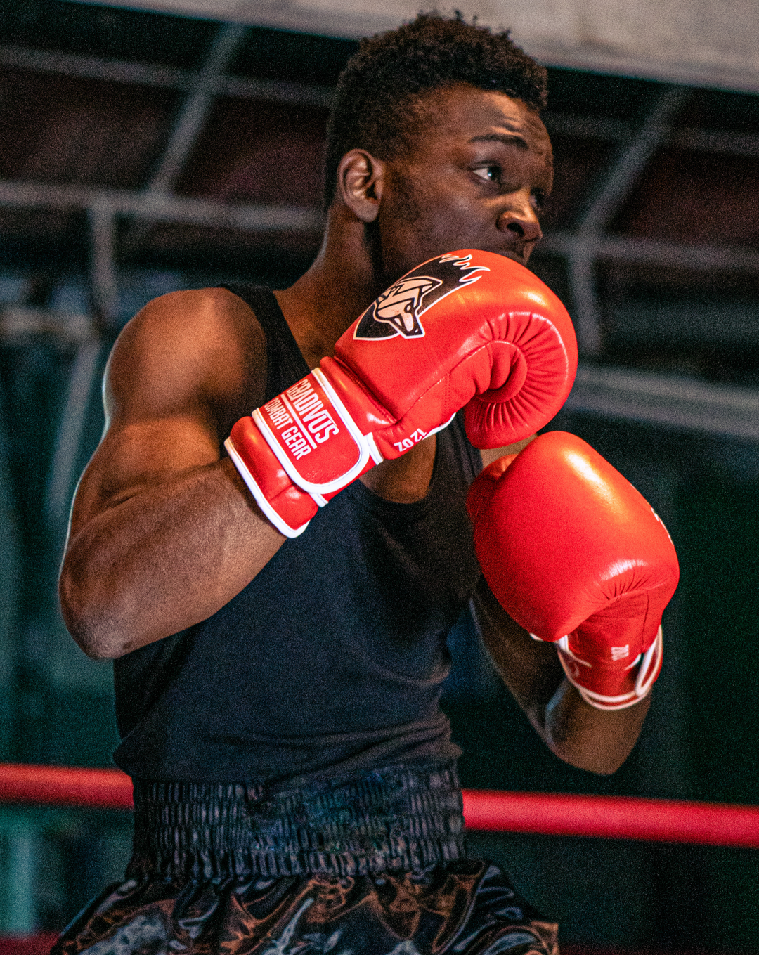 guantes de boxeo box boxing cuero autentico hecho a mano importado kickboxing muay thai k1 sambo mma ufc bellator mars gradivus combat gear deporte full contact contacto iska rojo