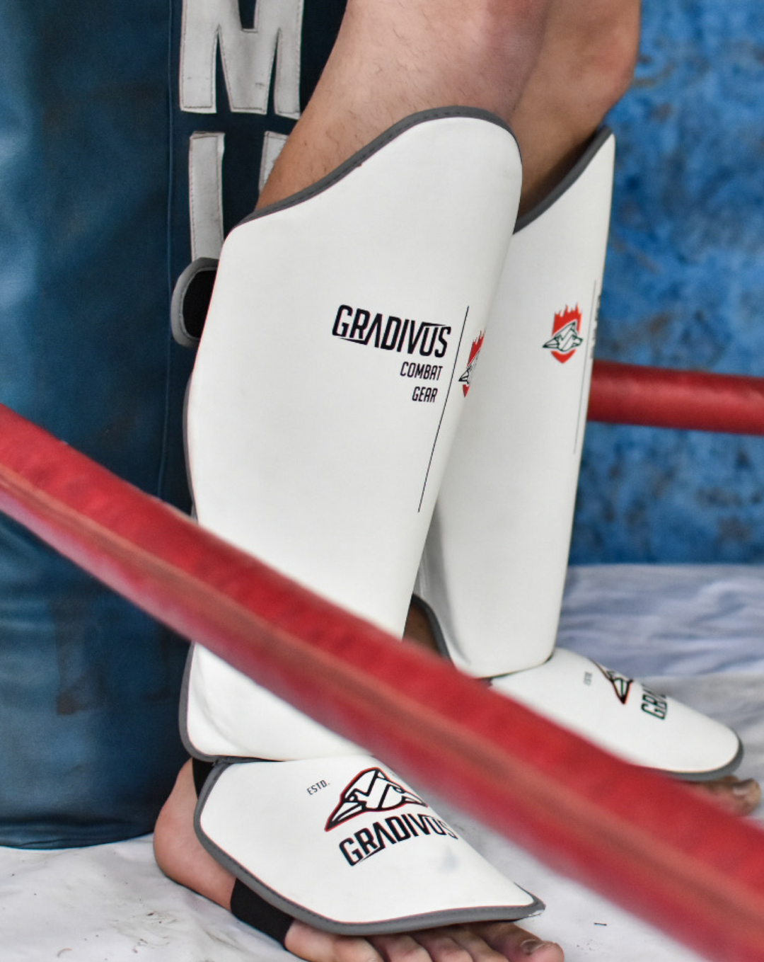 canilleras kick pro std mars gradivus kickboxing muay thai k1 sambo mma ufc bellator gimnasio academia artes de marte emblema animales sagrados blanco gris