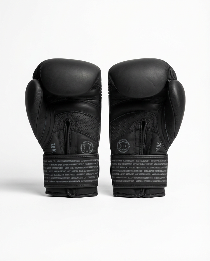 PREVENTA Box SparPro 2026