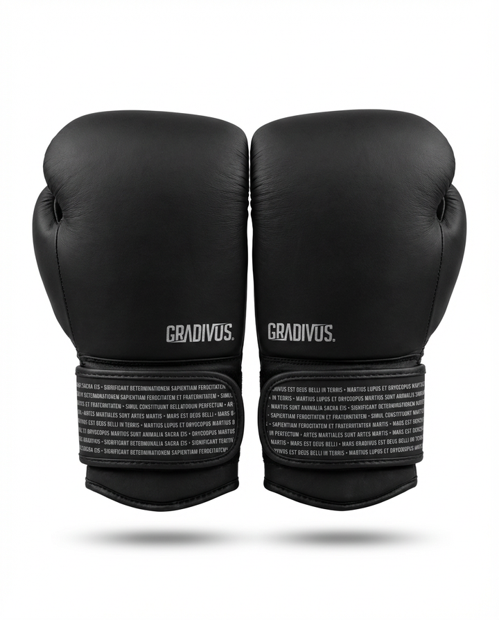 PREVENTA Box SparPro 2026