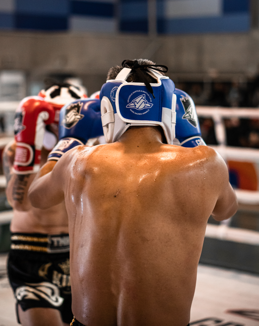 cabezal protector cabeza kickboxing boxeo box boxing muay thai k1 mma ufc bellator mars gradivus cuero autentico sparpro sparring competencia deporte contacto combate chile pelea fight azul
